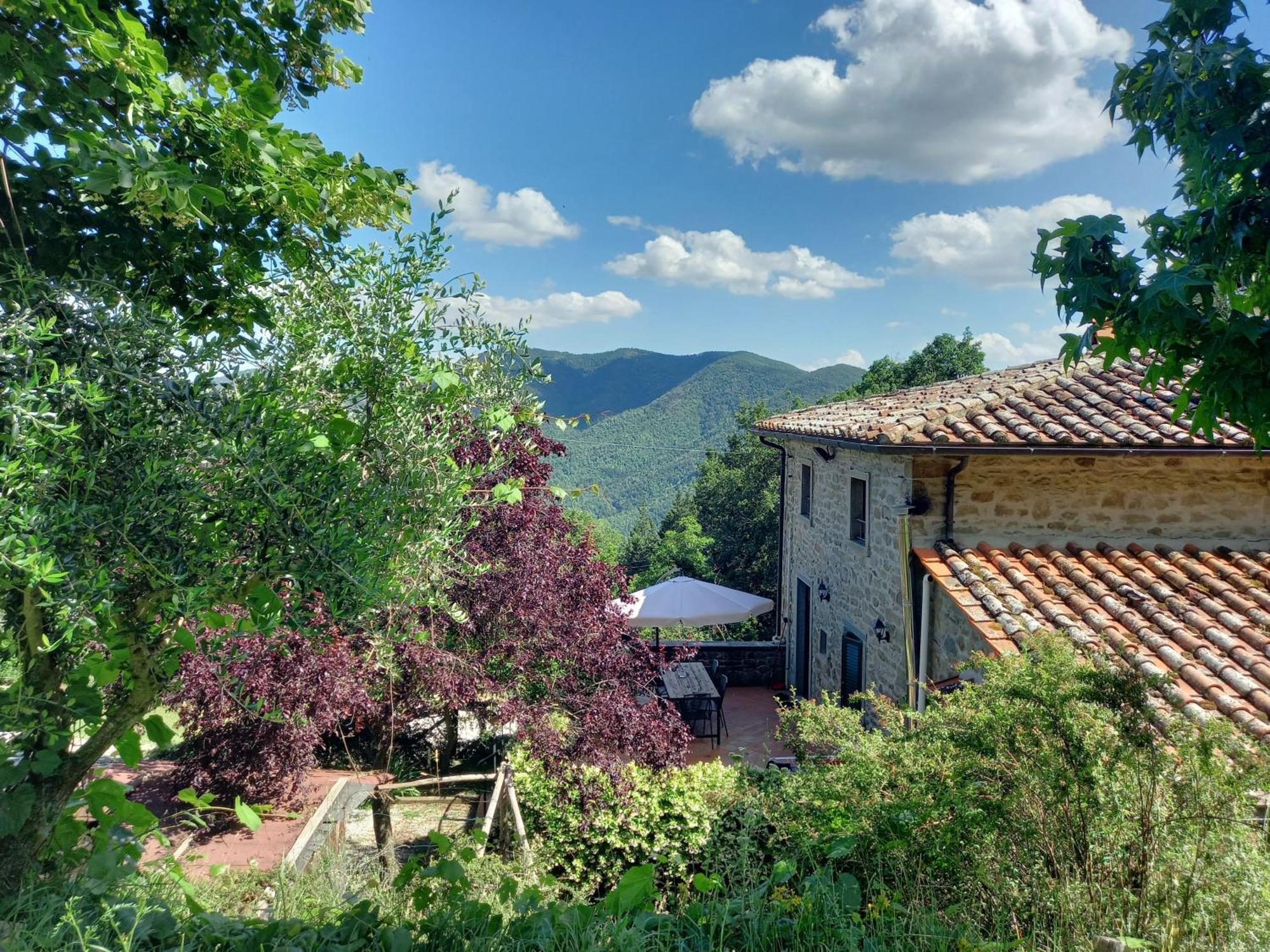 Valle Dame Cortona Exterior foto