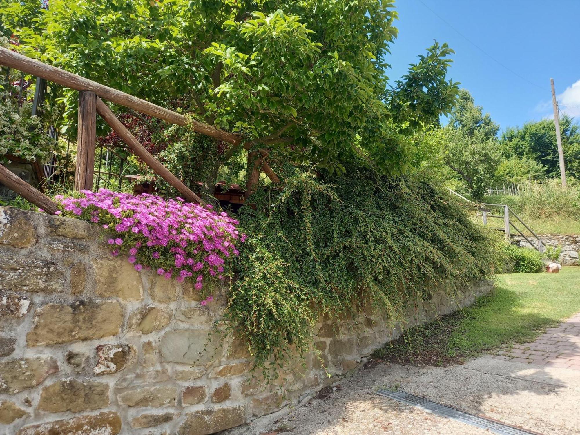 Valle Dame Cortona Exterior foto