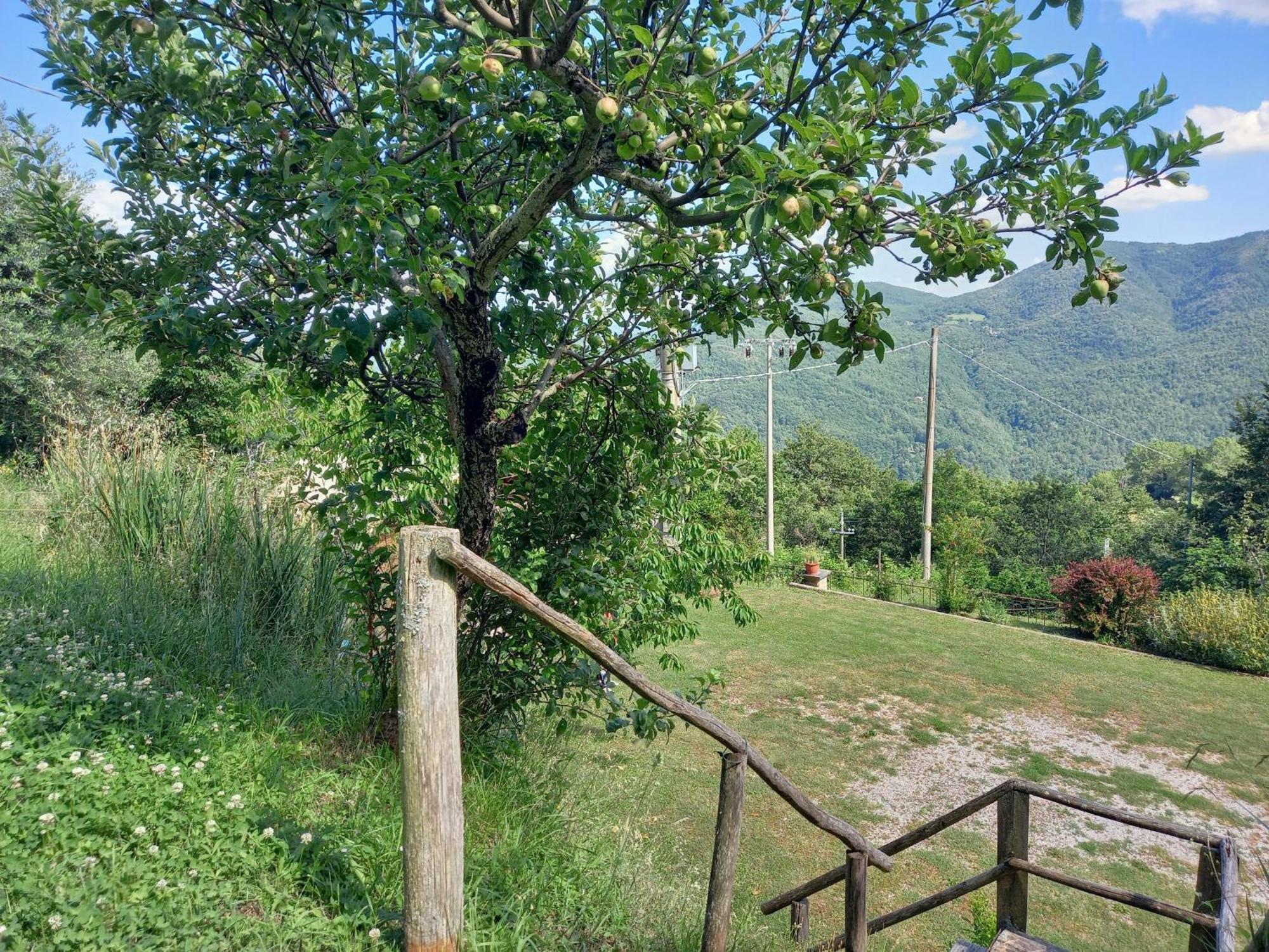 Valle Dame Cortona Exterior foto